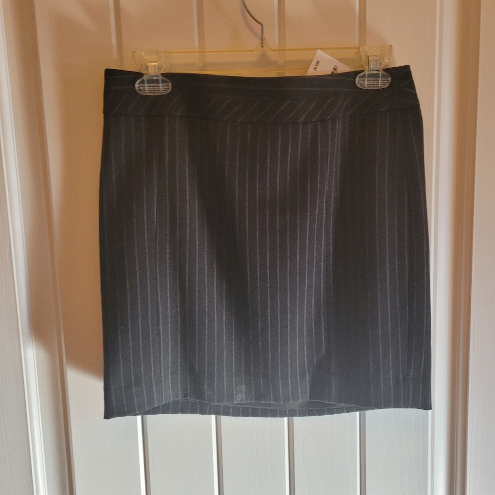 NWT express skirt